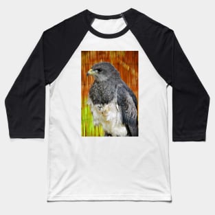 Chilean Eagle Black Chested Buzzard Baseball T-Shirt